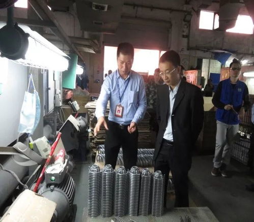 鳳崗鎮(zhèn)開展元旦節(jié)前安全檢查，監(jiān)控設(shè)備成關(guān)鍵環(huán)節(jié)